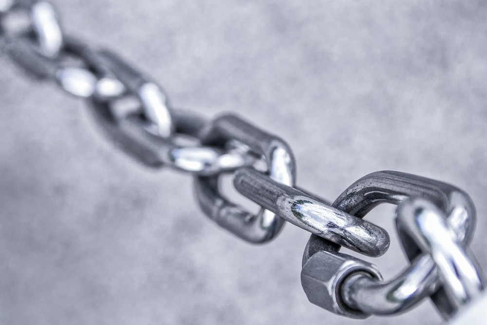 immagine-trust